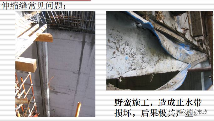 w88win优德(中国)有限公司